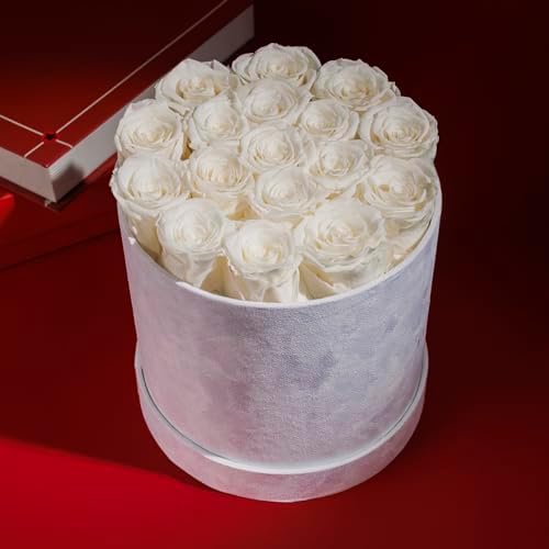 Prifroti 17 Flowers in a Luxury Suede Box, Birthday Gifts for Women, Preserved Flowers, Mothers Day Roses Gift for Mom, White - Image 6
