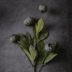6 Pcs 27" Faux Silk Peony Artificial Flowers Stems for Vase (Dark Gray) - Image 2