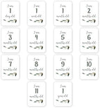 Lulujo Baby’s First Year Milestone Blanket and Card Set | 40in x 40in (All You Need is Love) - Image 3