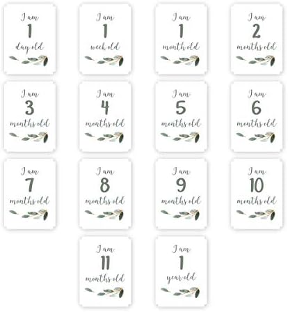 Lulujo Baby’s First Year Milestone Blanket and Card Set | 40in x 40in (All You Need is Love) - Image 3