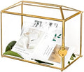 NCYP Small Glass Cards Box with Slot for Micro Wedding, 10.2" x 5.9" x 7.9" by NCYP