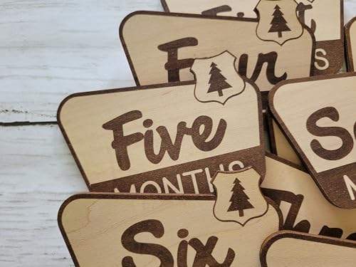 National Parks & Recreation Monthly Milestone Markers, Newborn Photo Prop - Image 4