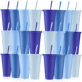 Skylety 24 Pcs Gray Blue Plastic Cups with Lids and Straws 24 oz by Skylety