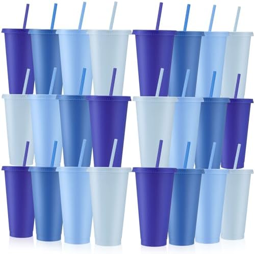 Skylety 24 Pcs Gray Blue Plastic Cups with Lids and Straws 24 oz by Skylety