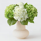 ZYTUYO 2PCS White & 2PCS Green Fake Hydrangea Real Touch 20" Latex Artificial Hydrangea Flowers with Long Stems for Outdoor Indoor Spring Home Decor Porch Party Wedding Xmas Floral Arrangements by ZYTUYO