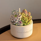 Assorted Succulent Pot Scented Candle,Baby Shower Favors Decoration, Delicate Decorative Candle Valentine's Day Birthday House-Warming Party Spa Home Decorate - Image 3
