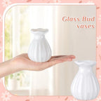 20 Pieces 3.5 Inch Glass Bud Vase Mini, White - Image 2