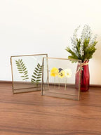 Beedecor Double Glass Frame for Pressed Flowers, Leaf and Artwork,Bronze 6x6 Standing Square Metal Picture Frames, Set of 2 Pressed Flower Frames with Stand (Antique bronze, 6x6) - Image 3