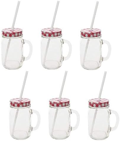 Sunshine Mason Co. Glass Mason Jar Drinking Mug set with handle, Red Gingham lids and White Straws, Set of 6 by Sunshine+Mason+Co.