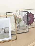 Beedecor Double Glass Frame for Pressed Flowers, Leaf and Artwork,Bronze 6x6 Standing Square Metal Picture Frames, Set of 2 Pressed Flower Frames with Stand (Antique bronze, 6x6) - Image 6