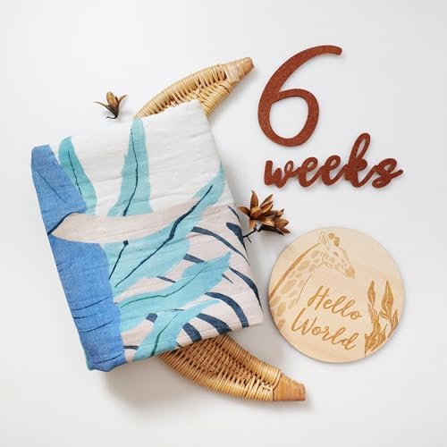Miaoberry Safari Baby Milestone Blanket, Africa Jungle Theme Monthly Photo Growth Tracker with Giraffe, Lion, Elephant with Hello World Sign - Image 4