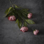 12 Pcs 27" Faux Silk Peony Artificial Flowers Stems for Vase (Warm Pink) - Image 3