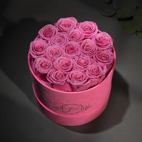 Prifroti 17 Flowers in a Velvet Pink Box, Birthday Gifts for Women, Preserved Flowers, Mothers Day Roses Gift for Mom, Pink - Image 2