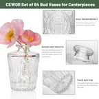 Fixwal 18 Pack Small Bud Vases for Centerpieces, Clear Vases for Flowers - Image 4