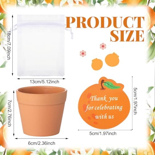Ctosree 50 Sets Cutie Baby Shower Party Favors for Guests A Little Cutie Is on The Way Seed Packets Include Self Adhesive Seed Packets Flowerpot Thank You Tags Organza Bags for Orange Baby Shower - Image 2