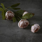 VIERENA 6 Pcs 27" Faux Silk Peony Artificial Flowers Stems for Vase (Beige) - Image 3