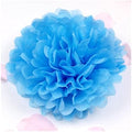Red Chinese Lanterns Handmade Tissue Paper Pompoms Wedding Decorative Paper Flower Ball Baby Shower Birthday Party Decoration Paper pom poms Red Traditional Hanging Lantern ( Color : 04 , Size : 6inc by Unknown