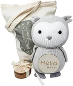 Monthly Baby Milestone Knit Cotton Stuffie with Wooden Discs, Newborn Photography Prop, Announcement Sign by Sawyer & Eloise (Owl) by Unknown