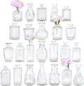 TBWIND 24pcs Clear Glass Bud Vases Set by TBWIND
