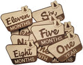 National Parks & Recreation Monthly Milestone Markers, Newborn Photo Prop by Handmade