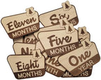 National Parks & Recreation Monthly Milestone Markers, Newborn Photo Prop by Handmade