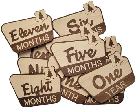 National Parks & Recreation Monthly Milestone Markers, Newborn Photo Prop by Handmade