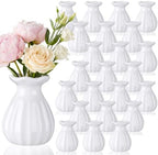 30 Pieces 3.5 Inch Glass Bud Vase Mini, White by Unknown