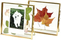 Beedecor Double Glass Frame for Pressed Flowers, Leaf and Artwork - Gold 4x4 Standing Square Metal Picture Frames, Tabletop Clear Floating Pressed Glass Frame, Home Decor Photo Display, Set of 2 by Beedecor