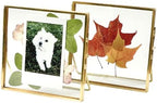 Beedecor Double Glass Frame for Pressed Flowers, Leaf and Artwork - Gold 4x4 Standing Square Metal Picture Frames, Tabletop Clear Floating Pressed Glass Frame, Home Decor Photo Display, Set of 2 by Beedecor