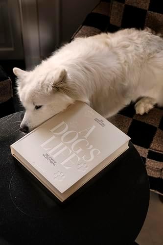 Printworks A Dog's Life Dog Photo Album, Beige - 30 Pages for 4x6 Photos - Image 4