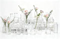 24PCS Mini Bud Vases As Wedding Centerpieces for Tables,Clear Bud Vases for Flowers,Small Flower Vases Suitable for Birthday Party,Anniversary,Wedding Reception,Baby Shower (Clear, 24PCS) by Unknown