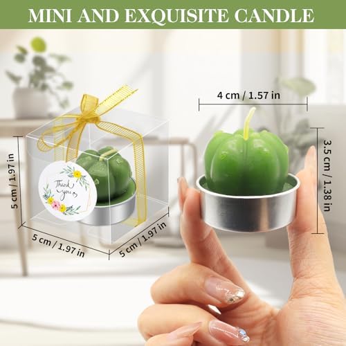 36 Pcs Succulent Candles Party Favors, Mini Cactus Tealight Candles Bulk - Image 2