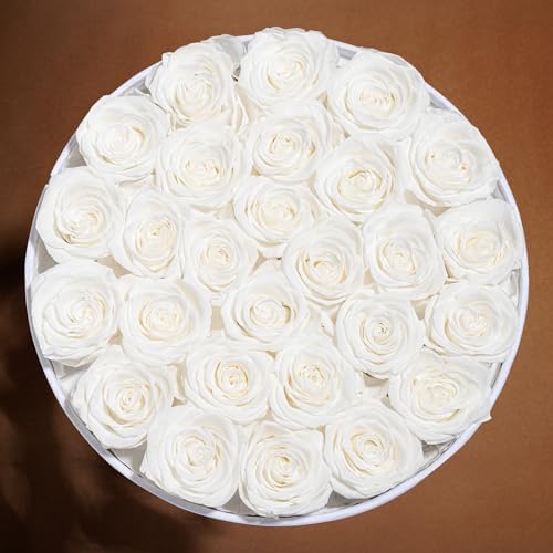 Prifroti 27 Flowers in a Luxury Suede Box, Birthday Gifts for Women, Preserved Flowers, Mothers Day Roses Gift for Mom, White - Image 5