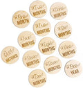Dinosaur Engraved Picture Props, Dino Newborn Photo Cards, T- Rex Wood Infant Disc, First Year, Birth Announcement Baby Monthly Milestone Markers Wooden Sign Shower Gift Set Newborn by Unknown
