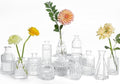 UPBUD Clear Glass Bud Vases Set of 12, Small Vases for Flowers by UPBUD