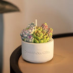Assorted Succulent Pot Scented Candle,Baby Shower Favors Decoration, Delicate Decorative Candle Valentine's Day Birthday House-Warming Party Spa Home Decorate - Image 2
