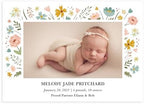 Let's Make Memories Personalized Baby Announcement Cards - Birth, Adoption - Boy, Girl - Premium Quality Custom Photo Cards for Mailing - 5x7 - Includes White Envelopes - Floral Frame - 75 ct by LetsMakeMemories