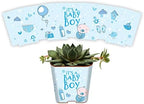 Succulent Pot Wraps for Wedding Favors, Baby Shower or Bridal Shower | Fits Most 2 Inch Square Pots | Peel and Stick Vinyl Wraps | Does Not Include Mini Live Plant or Pot (50 Wraps, It's A Boy) by PRODUCT80