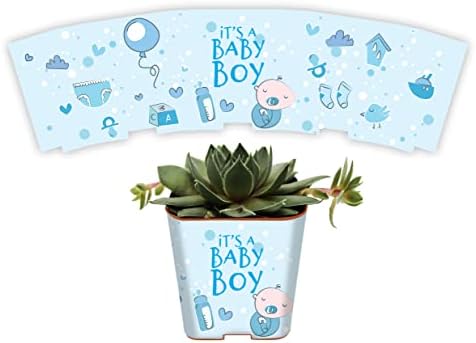Succulent Pot Wraps for Wedding Favors, Baby Shower or Bridal Shower | Fits Most 2 Inch Square Pots | Peel and Stick Vinyl Wraps | Does Not Include Mini Live Plant or Pot (50 Wraps, It's A Boy) by PRODUCT80