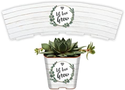 PRODUCT80 Succulent Pot Wrap for Wedding Favors, Bridal Shower | Fits Most 2 Inch Square Pots | Peel and Stick Vinyl | Does Not Include Mini Live Plant or Pot (100 Wraps, Shiplap Let Love Grow) by PRODUCT80