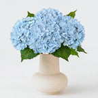 ZYTUYO 20 inches 4 Pcs Sky Blue Real Touch Hydrangea Artificial Flowers Boho Lifelike Real Looking Latex Hydrangeas Flower with Long Stem for Home Decor Spring Table Centrepiece by ZYTUYO