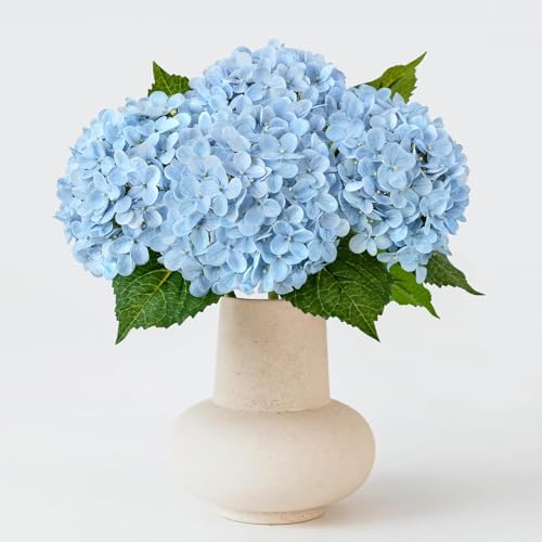 ZYTUYO 20 inches 4 Pcs Sky Blue Real Touch Hydrangea Artificial Flowers Boho Lifelike Real Looking Latex Hydrangeas Flower with Long Stem for Home Decor Spring Table Centrepiece by ZYTUYO