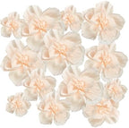 Cholemy 24 Pcs Tissue Paper Flowers, Crepe Paper Flowers Decorations 8" 10" 12" for Wedding Party Baby Bridal Shower Carnival Party Birthday Nursery Wall Decor (Beige) by Cholemy
