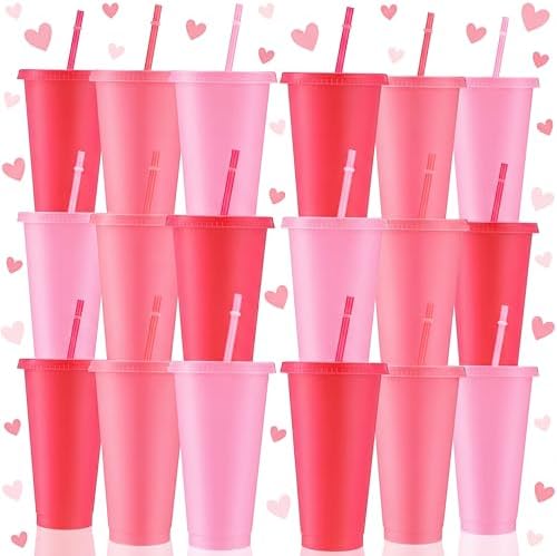 Skylety 24 Pcs Hot Pink Plastic Cups with Lids and Straws 24 oz by Skylety