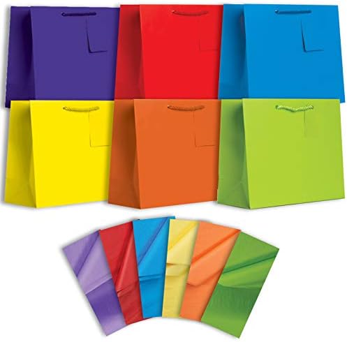 Jillson Roberts Solid Color Matte Gift Bag & Tissue Assortment, Gift Wrapping Supplies Multi-colored, Large-6 Count by JillsonRoberts