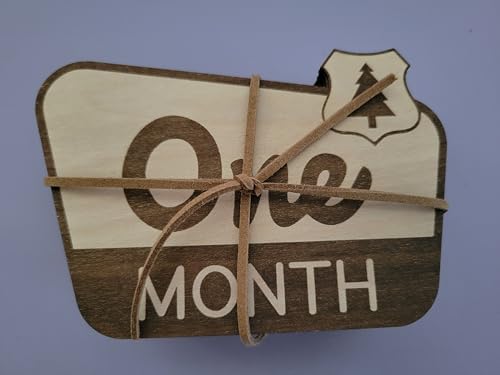 National Parks & Recreation Monthly Milestone Markers, Newborn Photo Prop - Image 3