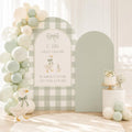 Set of 2 Arch Backdrop Covers Silly Goose Baby Shower Sage Green Gingham Birthday Party Gender Reveal Decoration (Goose,7.2FT & 6FT) by HISDH