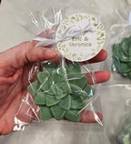 Boho Garden Personalized Succulent Soap 10 Party Favors for a Bohemian Bridal Shower, Wedding Party, Baby Shower or Birthday with Tags Baby in Bloom - Image 6