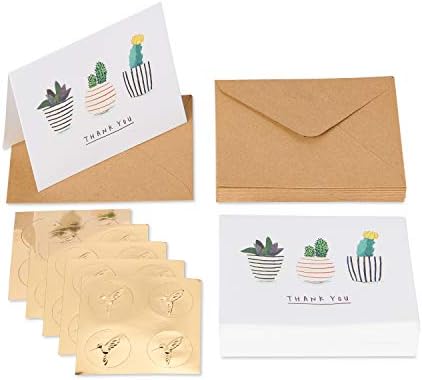 Papyrus Thank You Cards with Envelopes, Gold Border (16-Count) & Succulents (20-Count) - Image 6