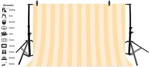 Leyiyi 12x8ft Photography Background Striped Backdrop Happy Birthday Party Vertical Horizontal Stripes Icecream Girl Blog Make Up Vlogger Summer Poster Baby Shower Photo Portrait Vinyl Studio Prop - Image 3
